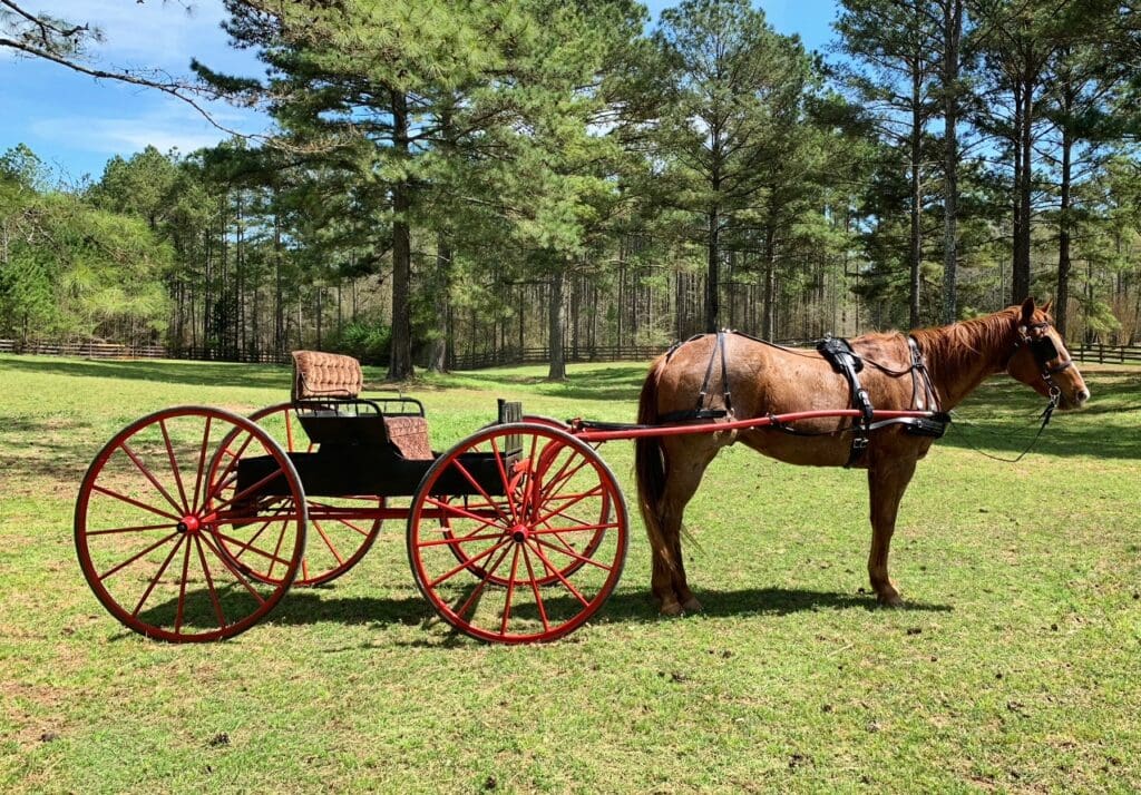 Horse drawn wagons or carriages for film production by Ed Dabney