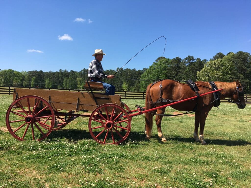 Horse drawn wagons or carriages for film production by Ed Dabney