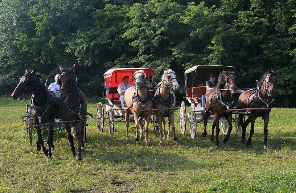 Teams with various wagons