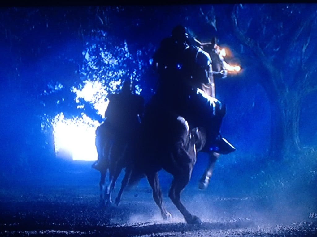 Film Horses - Stunt Riders