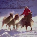 Ed leading horses on Christmas card cover