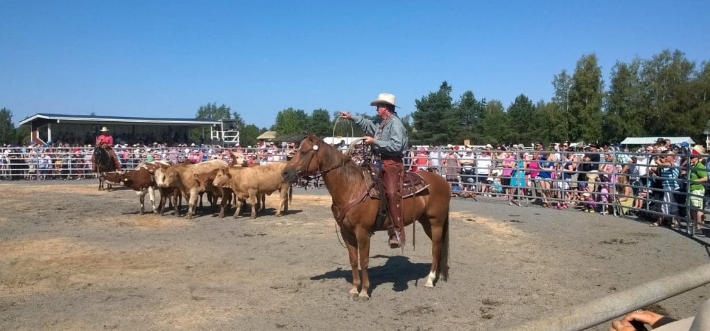 Finland cow demo July 26, 2014