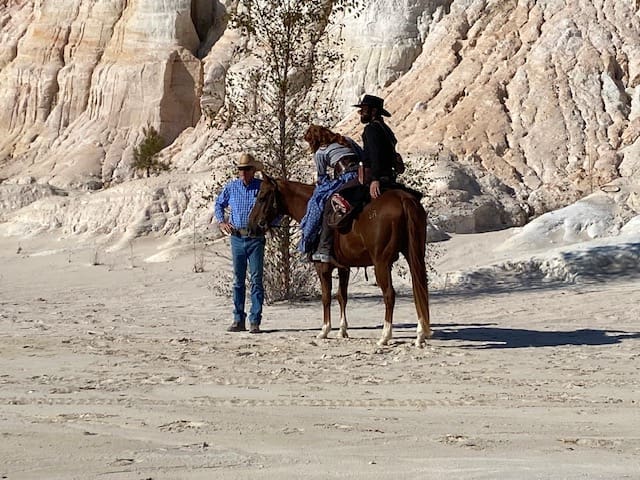 Birthright Outlaw - Film work by Ed Dabney Horses